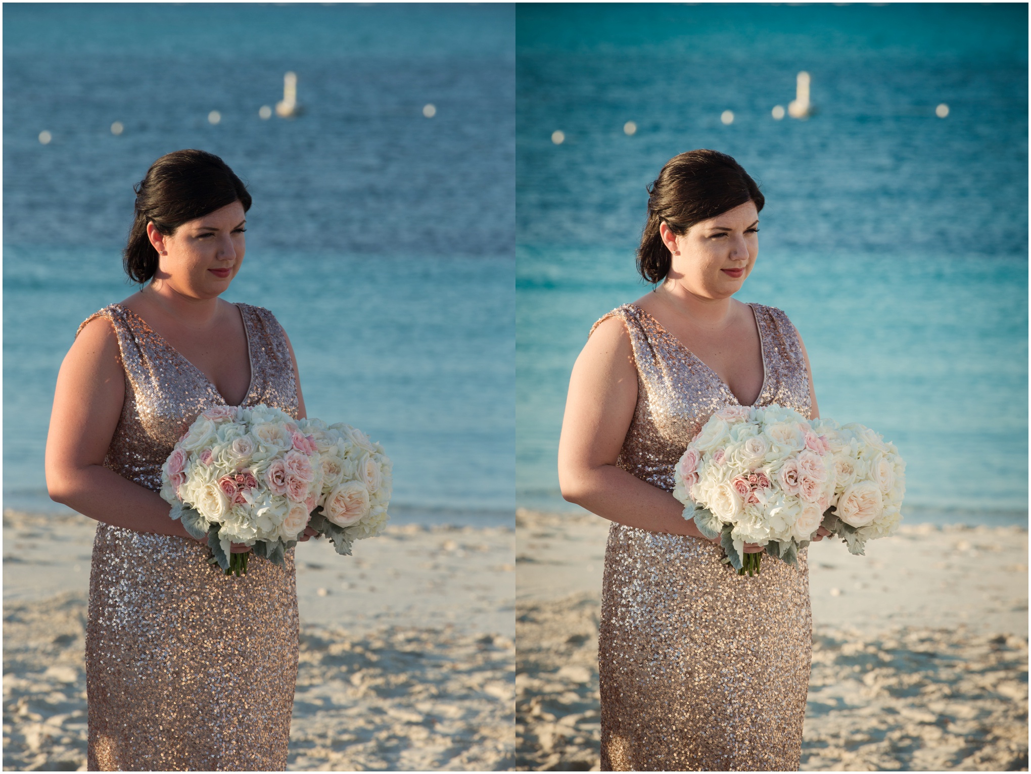 Wedding Workflow from Sleeklens