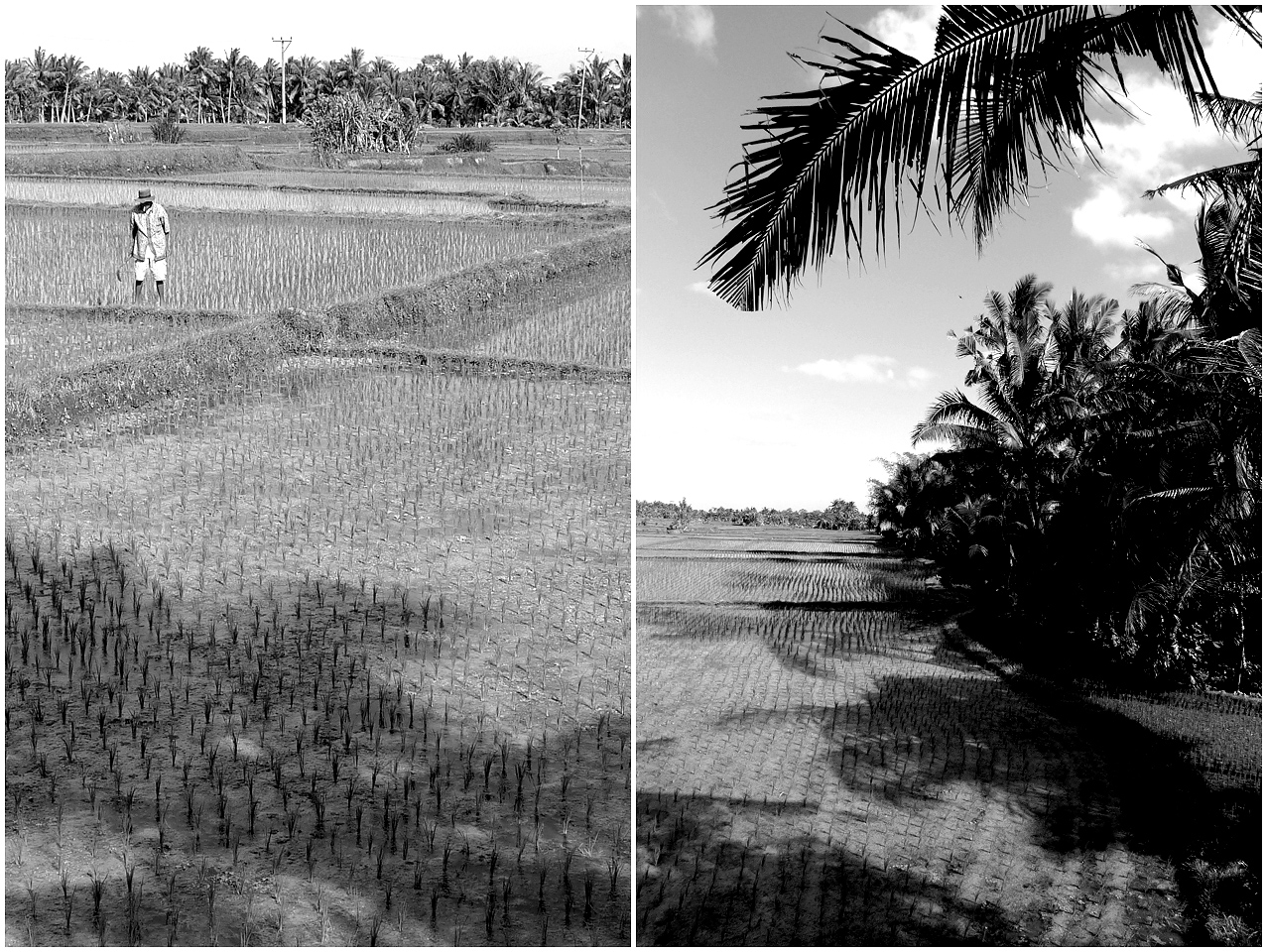 2011 Retrospective Travel Photos by Segerius Bruce Photography (48)