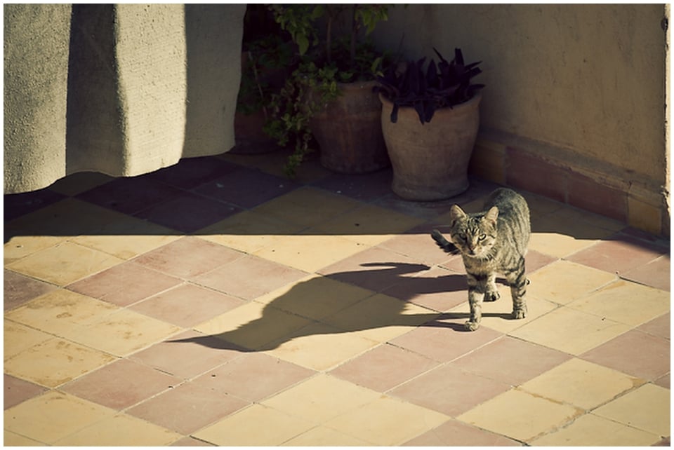 Marrakech