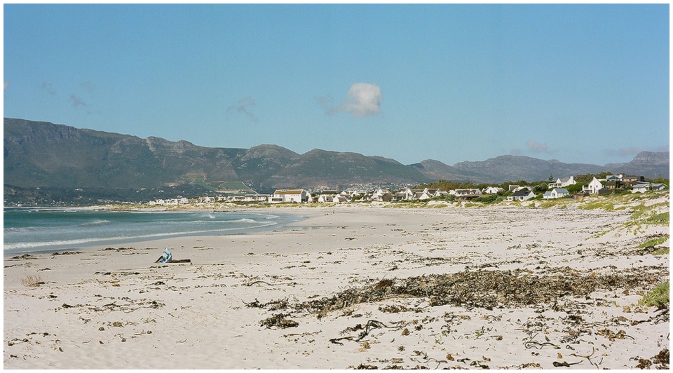 Cape-Town-film-photographer-contax-645-014 Cape Town Film Photography Contax 645 (14)