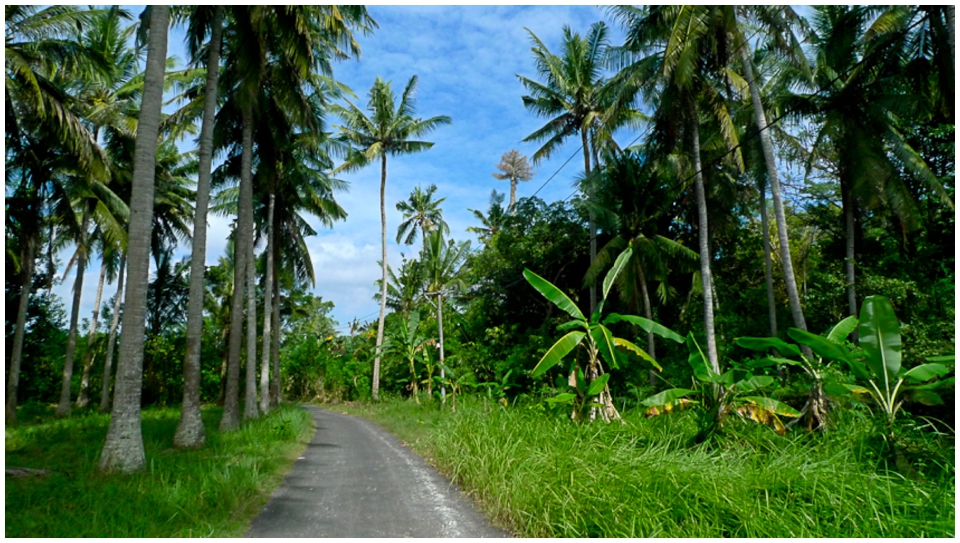 2011 Retrospective Travel Photos by Segerius Bruce Photography (6)