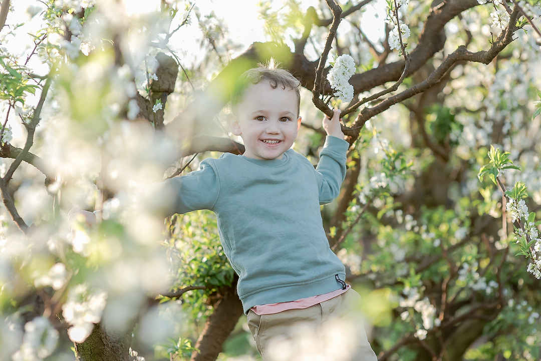 Family Photoshoot amongst the Apple Blossoms