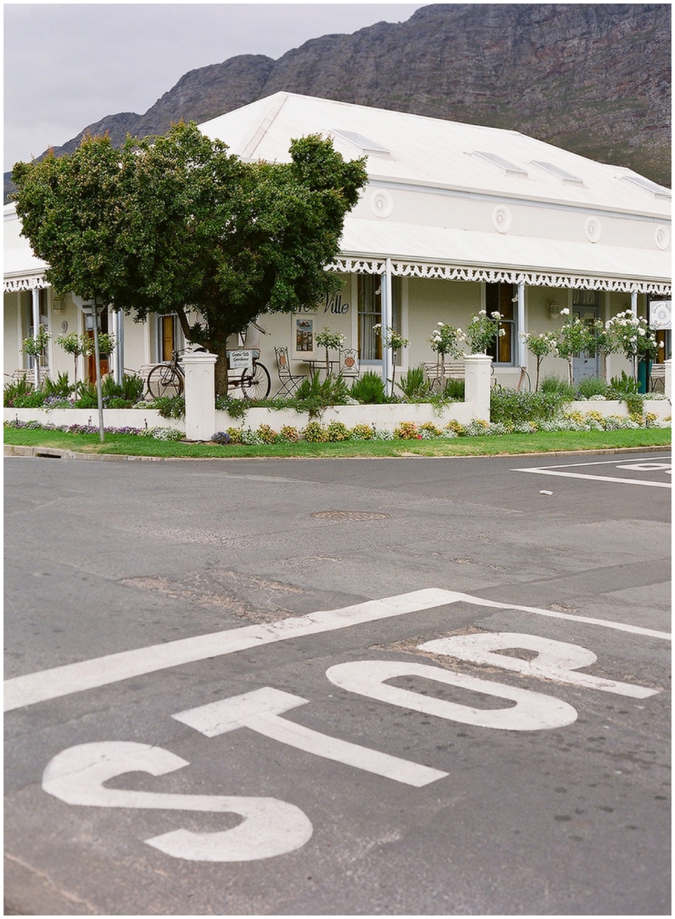 Contax 645 Fuji 400H Cape Town Photographer  (11)