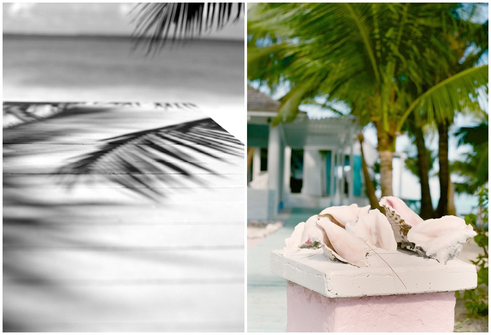 Island Life on Film: Contax 645 and Fuji 400H