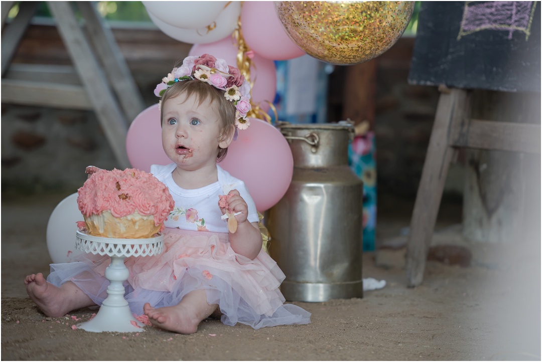 Cake Smash Celebration at Happy Hippo