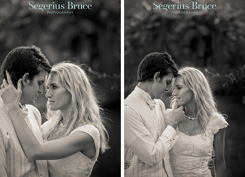 A Bride, A Horse and A Waterfall