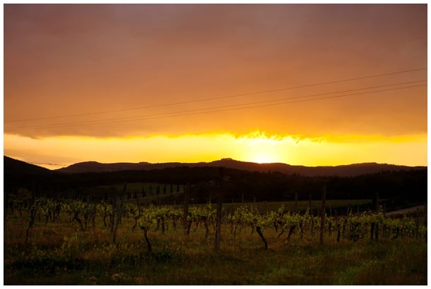 wedding photographer at Villa Le Selva Tuscany Italy