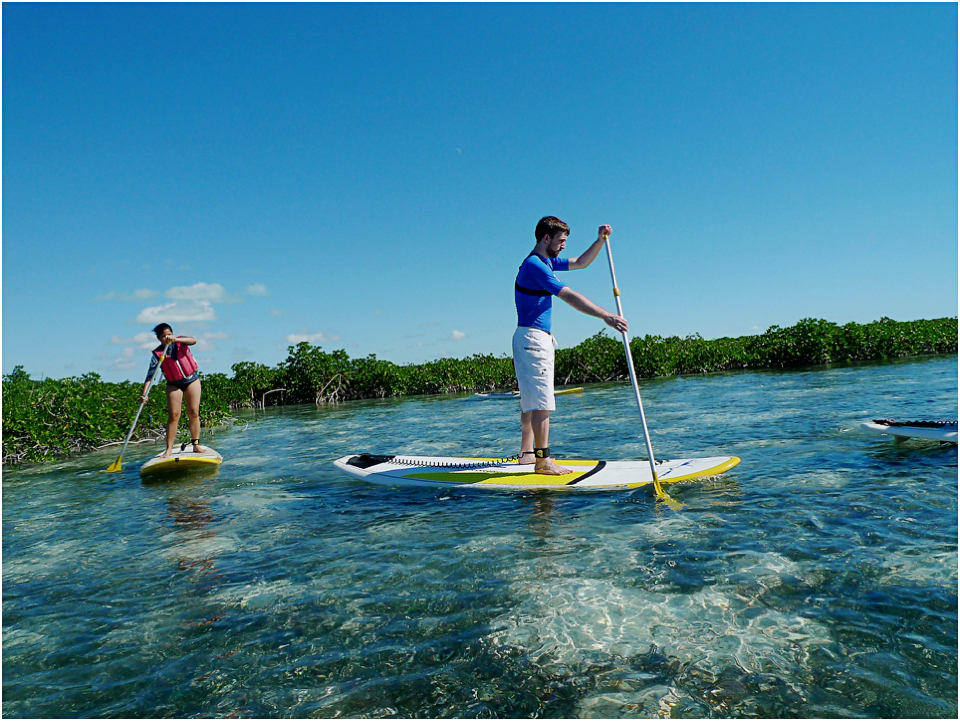 Kayak Eco Tour