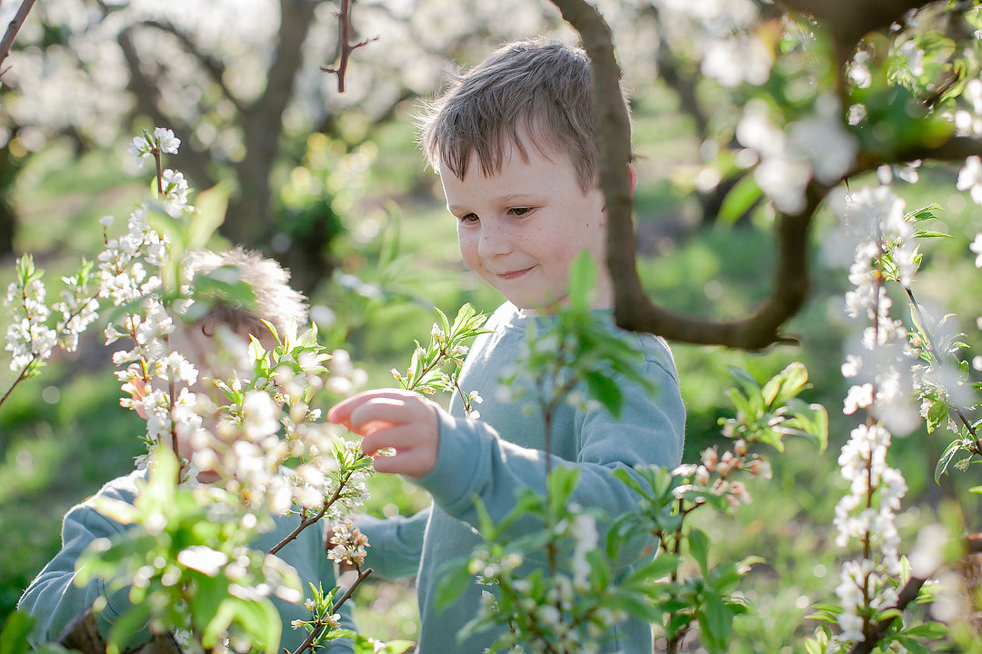Family Photoshoot amongst the Apple Blossoms