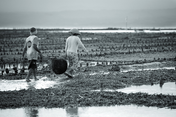 Nusa Lembongan Island Bali Indonesia Travel Photography