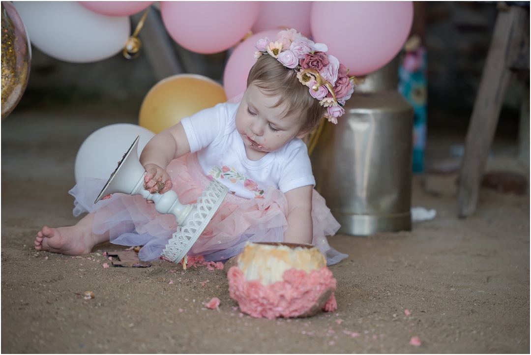 Cake Smash Celebration at Happy Hippo
