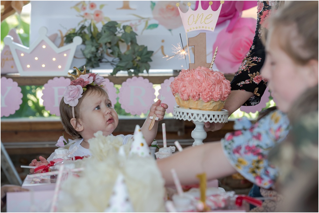 Cake Smash Celebration at Happy Hippo