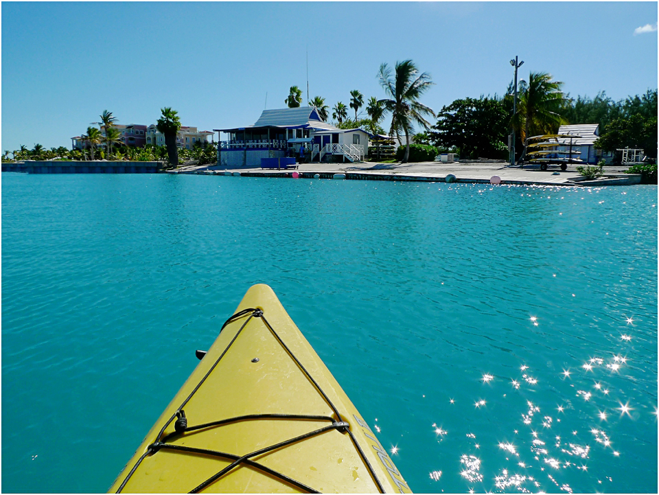 Kayak Eco Tour
