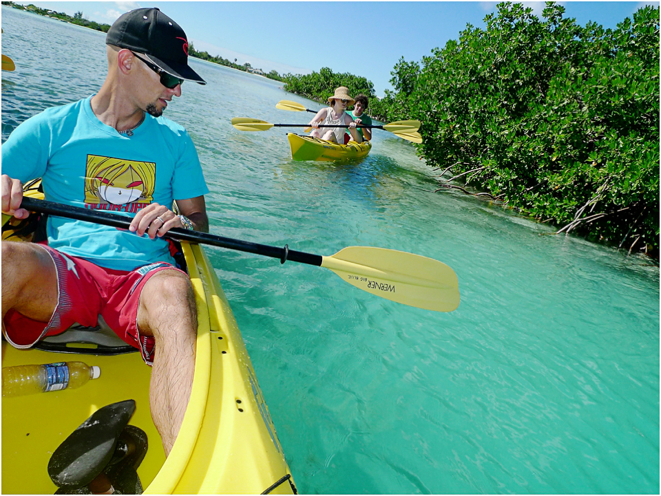Kayak Eco Tour