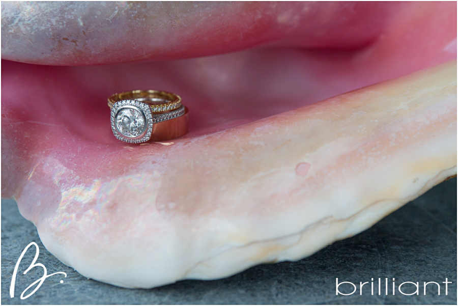Paradise Beach Wedding Photographers | Beach Wedding | Segerius Bruce Photography