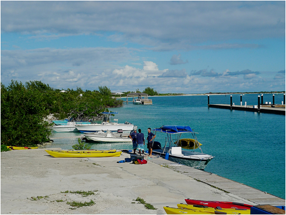 Kayak Eco Tour