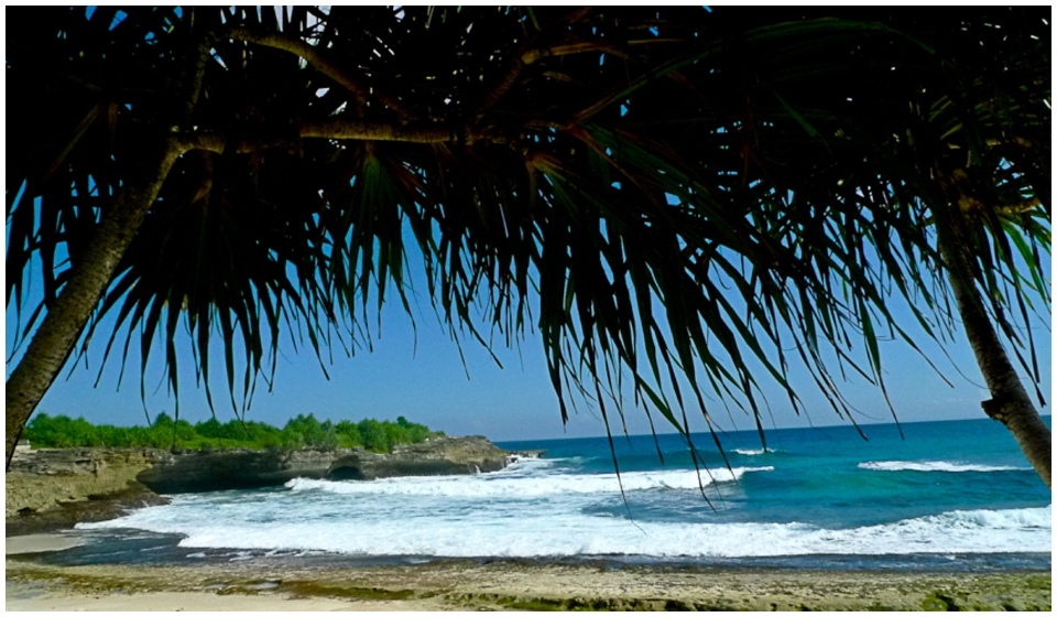 2011 Retrospective Travel Photos by Segerius Bruce Photography (26)
