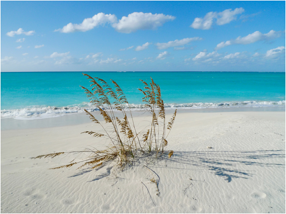 Leeward Beach Providenciales Turks and Caicos (12)