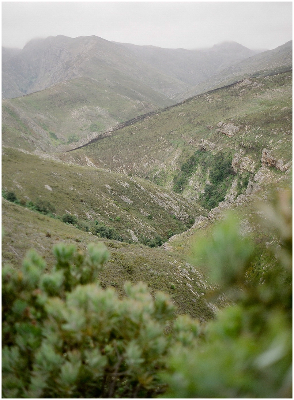 Contax 645 Fuji 400H Cape Town Photographer  (19)