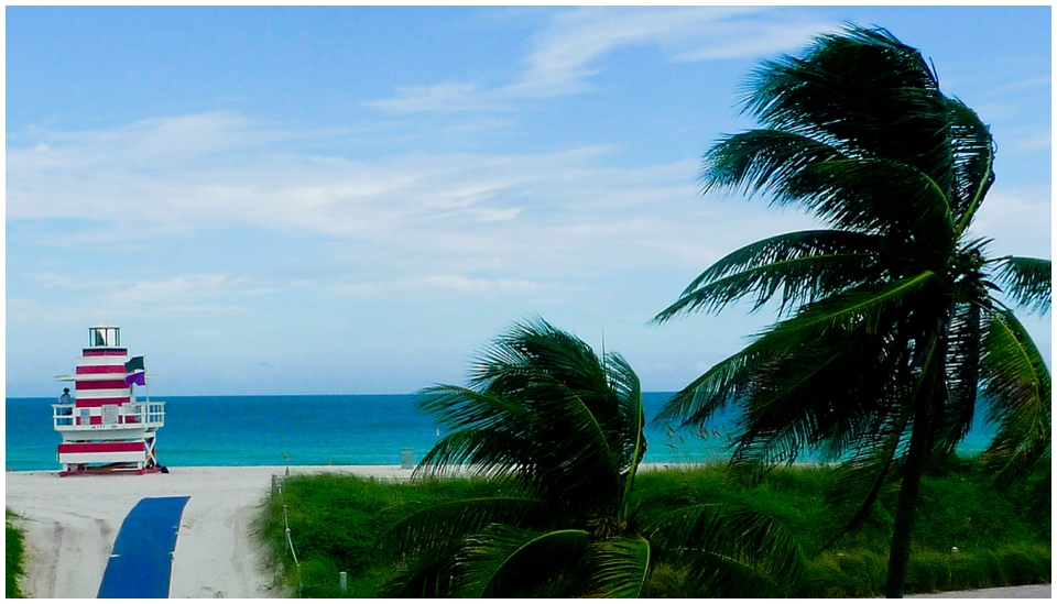 2011 Retrospective Travel Photos by Segerius Bruce Photography (58)