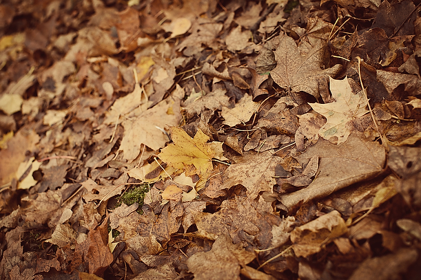 Vintage Autumn Pre-Wedding Engagement Session Surrey