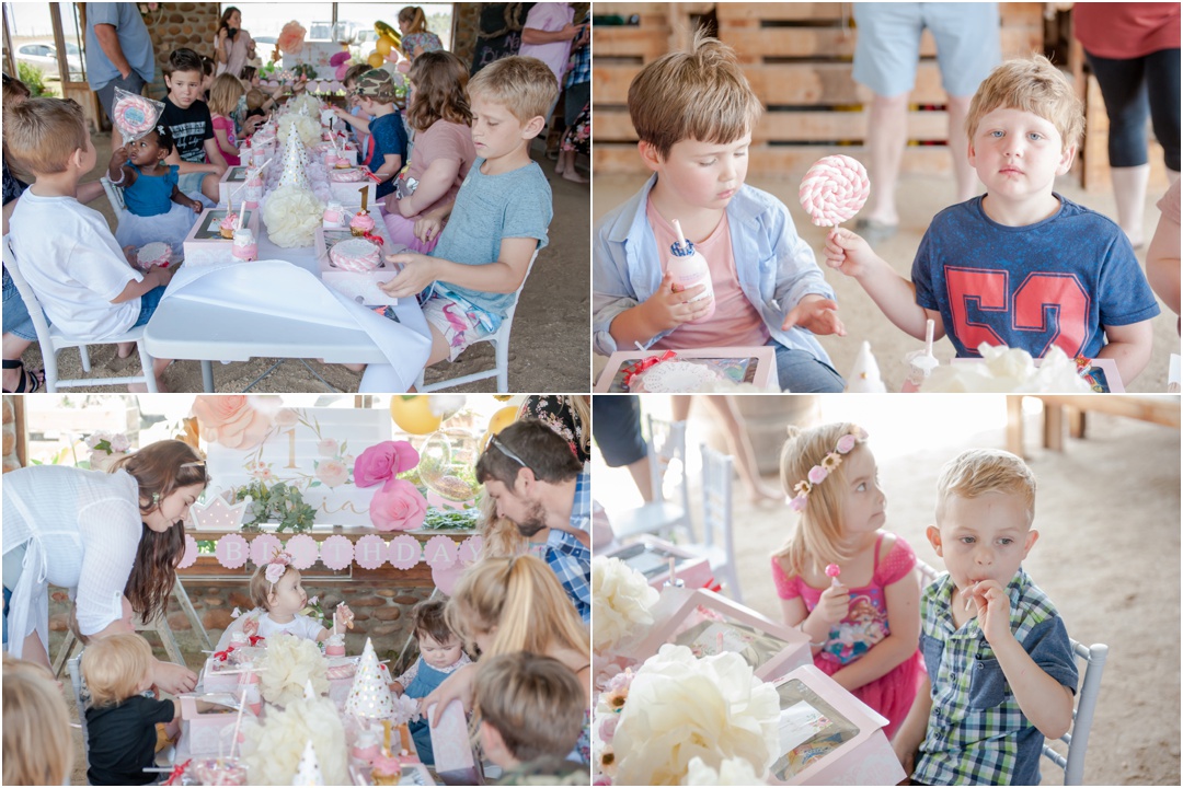 Cake Smash Celebration at Happy Hippo