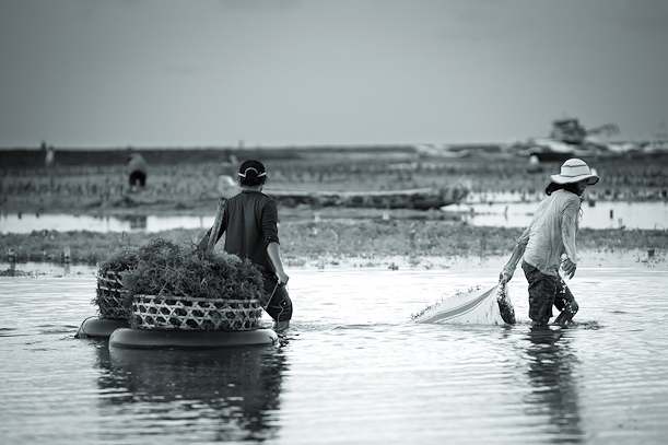 Nusa Lembongan Island Bali Indonesia Travel Photography