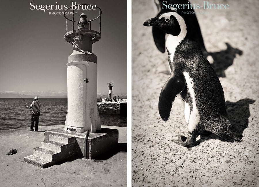 Cape Town and False Bay, 2010 (Part 1)