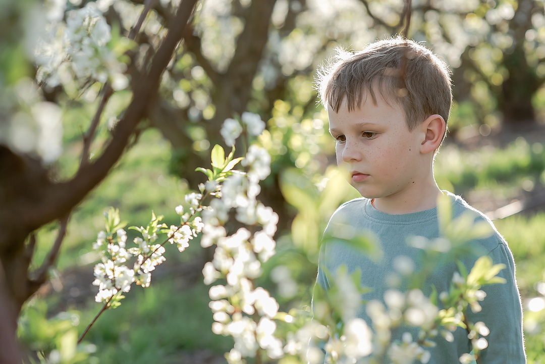 Family Photoshoot amongst the Apple Blossoms