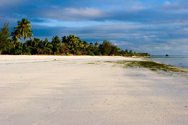 Wedding Photographer Zanzibar