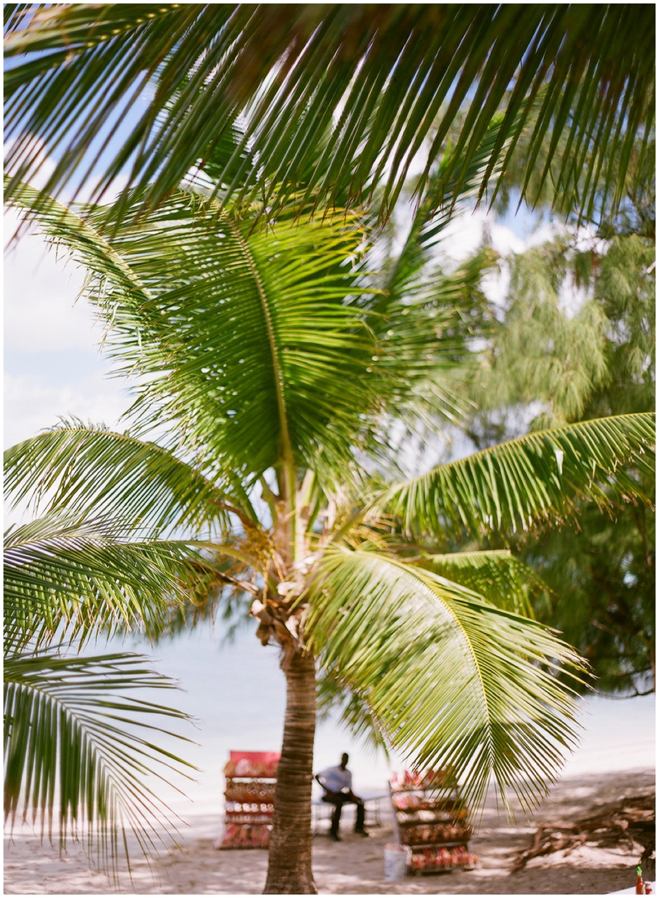 turks-and-caicos-caribbean-travel-photographer-005 turks and caicos caribbean conch shack (5)
