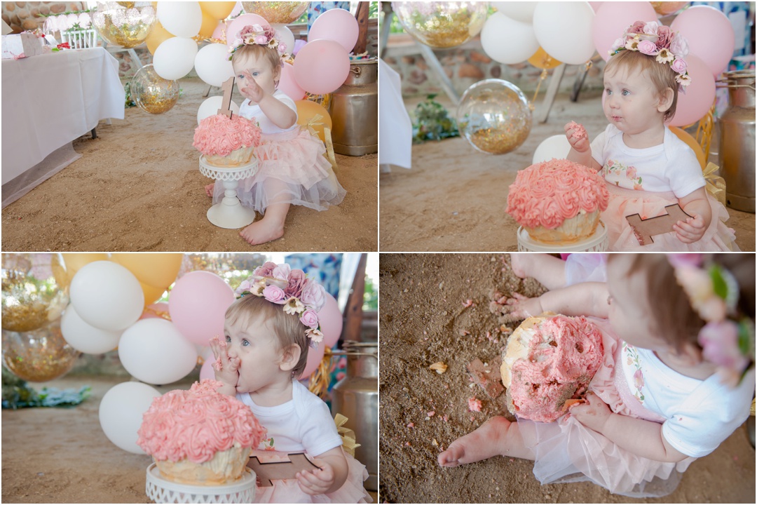 Cake Smash Celebration at Happy Hippo