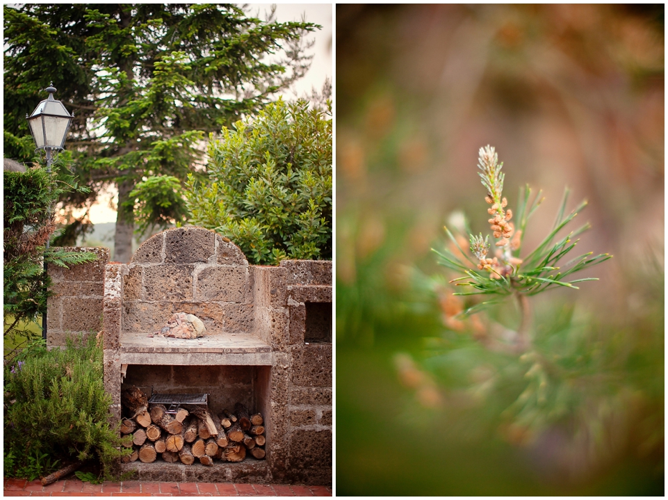 2011 Retrospective Travel Photos by Segerius Bruce Photography (56)
