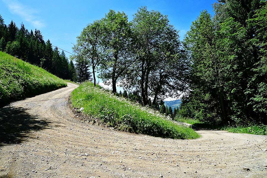 Mountain biking in the Alps