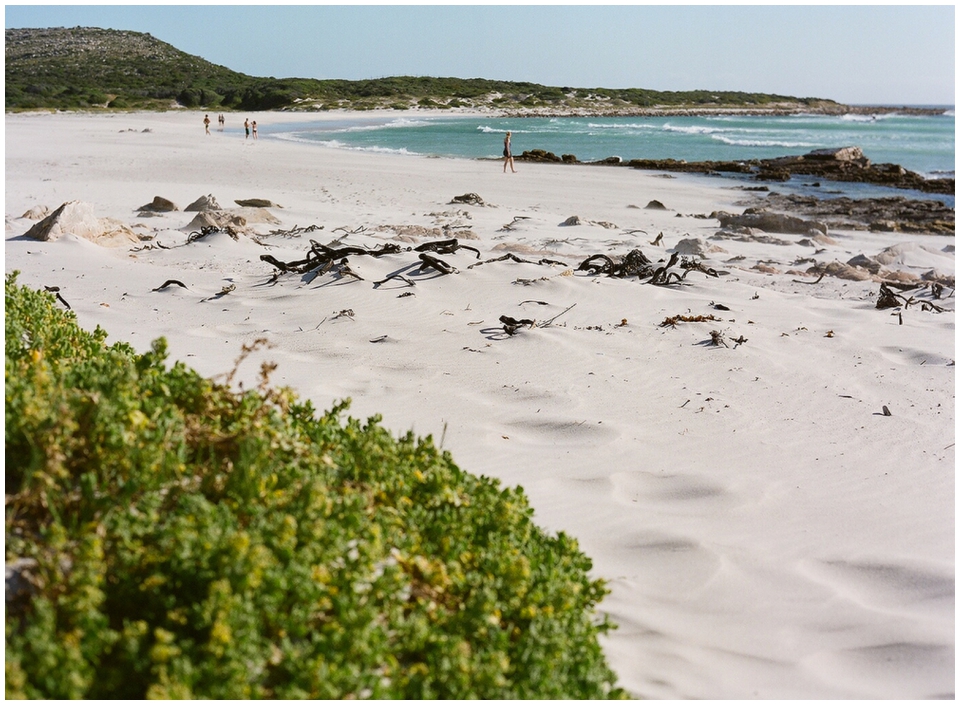 Contax 645 Fuji 400H Cape Town Photographer  (15)