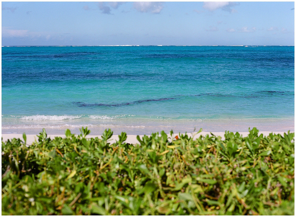 Island Life on Film: Contax 645 and Fuji 400H