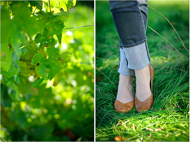 Wedding Photography at Denbies Vineyard Surrey