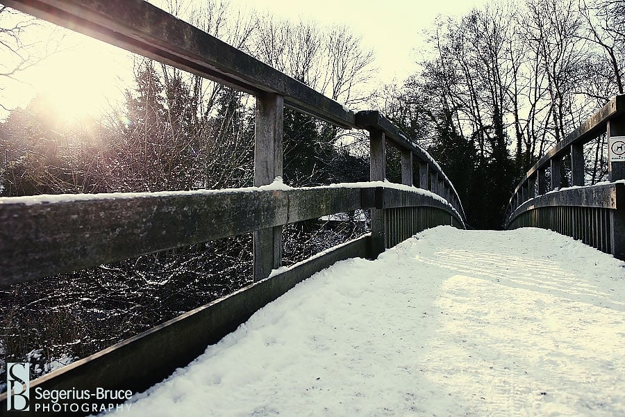 Snow pictures in Dorking, Surrey December 2009