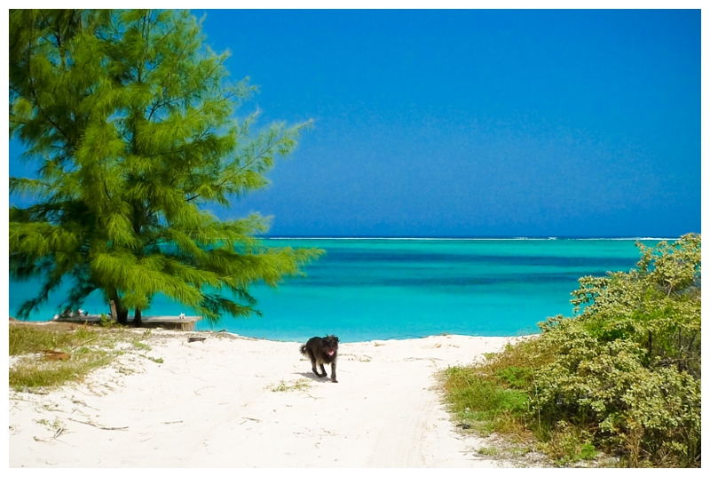 Middle and North Caicos TCI babymoon (43)
