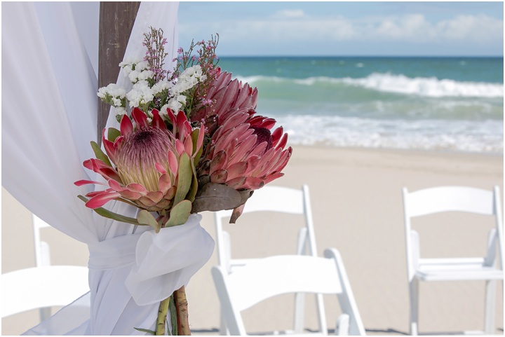 Fred and Charmaine get married on Paradise Beach