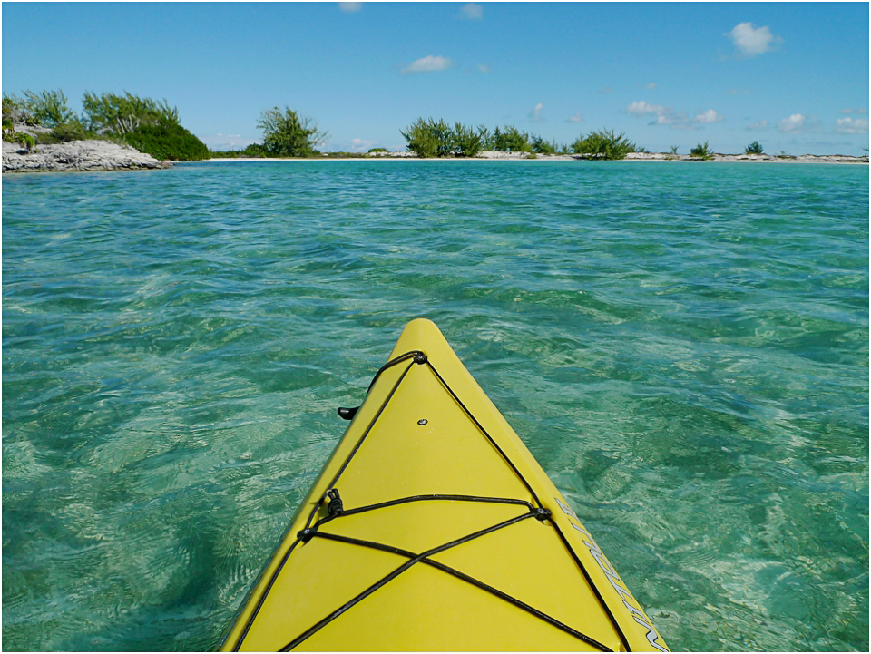 Kayak Eco Tour