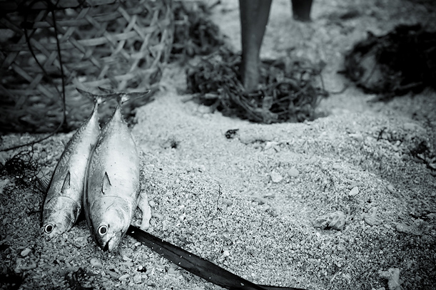 Nusa Lembongan Island Bali Indonesia Travel Photography