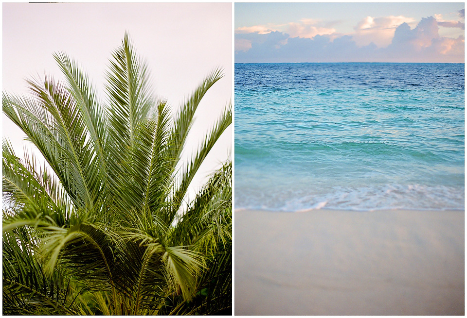 Island Life on Film: Contax 645 and Fuji 400H