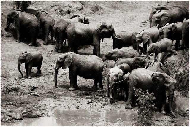 Wildlife Photographers South Africa | Top Durban Photographers - Segerius Bruce Photography