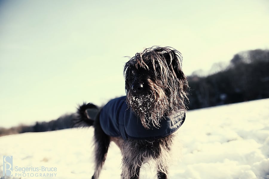 Snow images UK