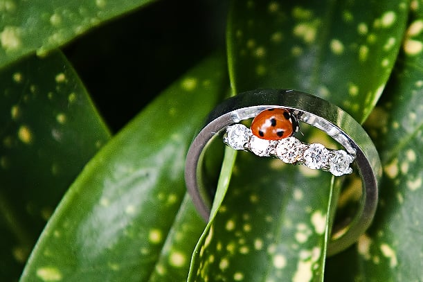 Creative Wedding Photographer in Surrey