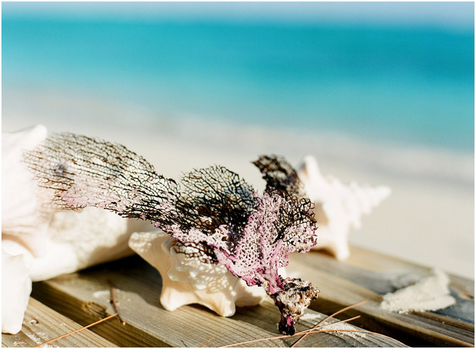 north-caicos-turks-film-contax645-0007 north caicos TCI on film contax 645 (7)