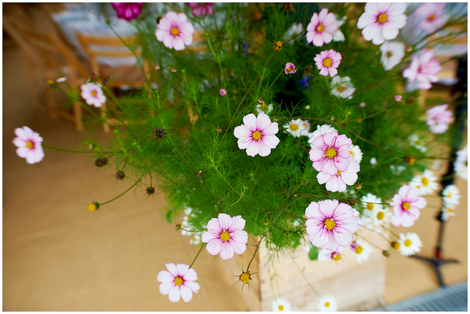 Rustic Outdoor DIY farm backyard wedding UK (119)