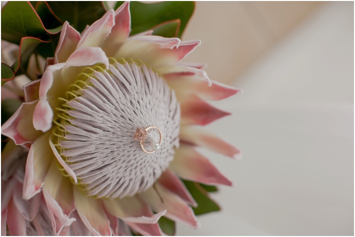 Fred and Charmaine get married on Paradise Beach