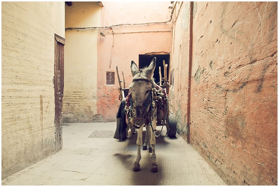 Marrakech